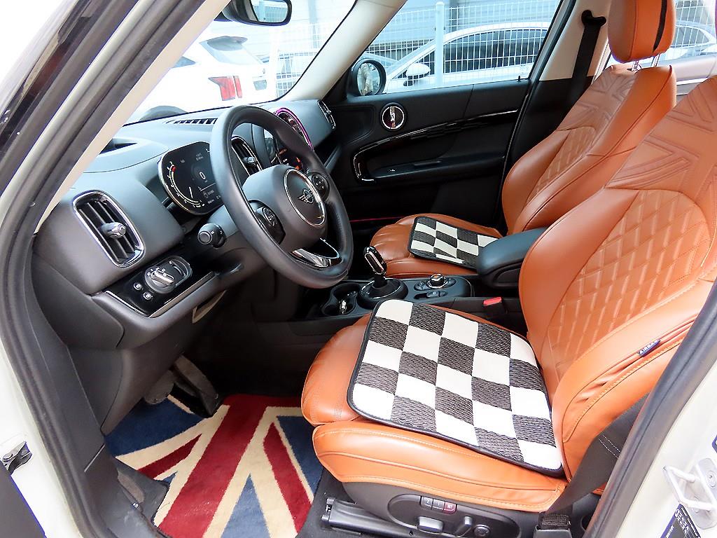 Mini Countryman - Vista 5