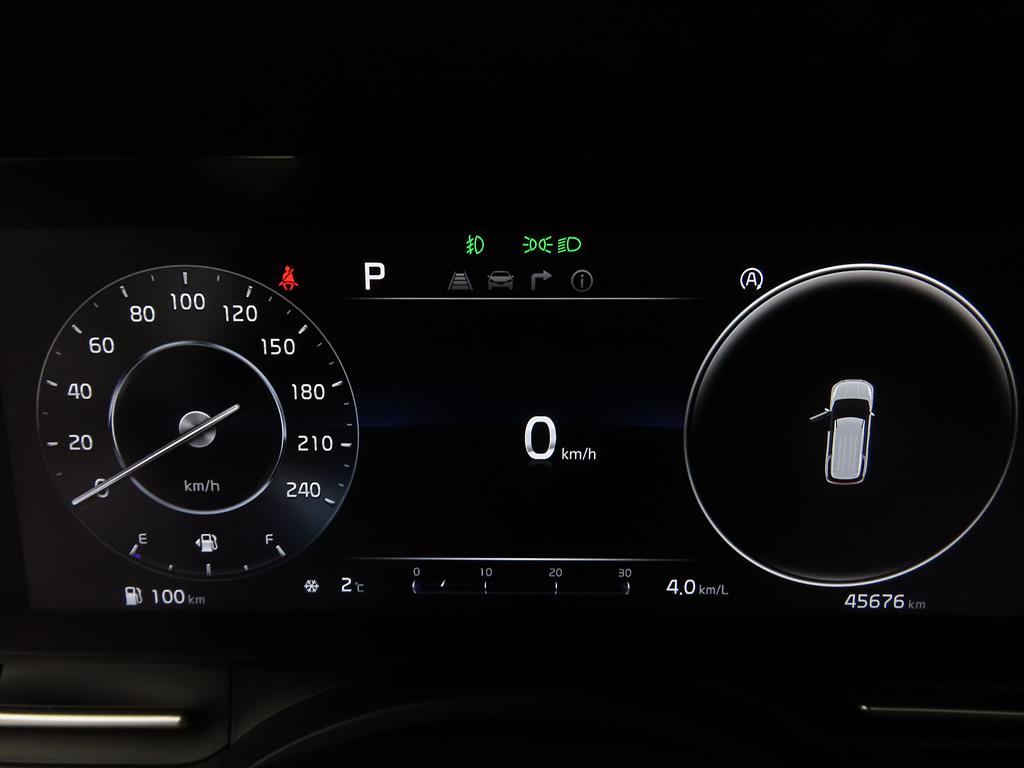 KIA Carnival - Vista 9