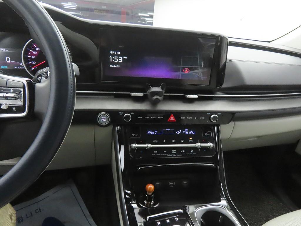 KIA Carnival - Vista 10