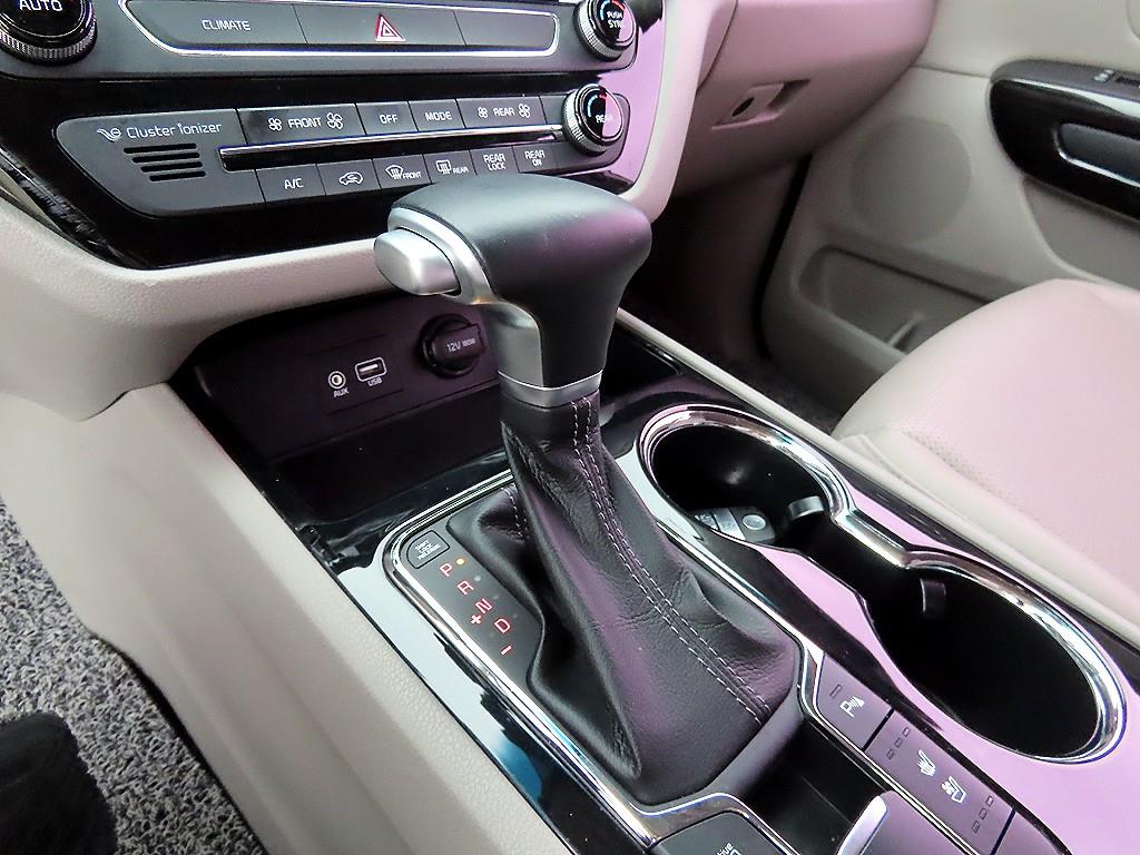 KIA Carnival - Vista 12