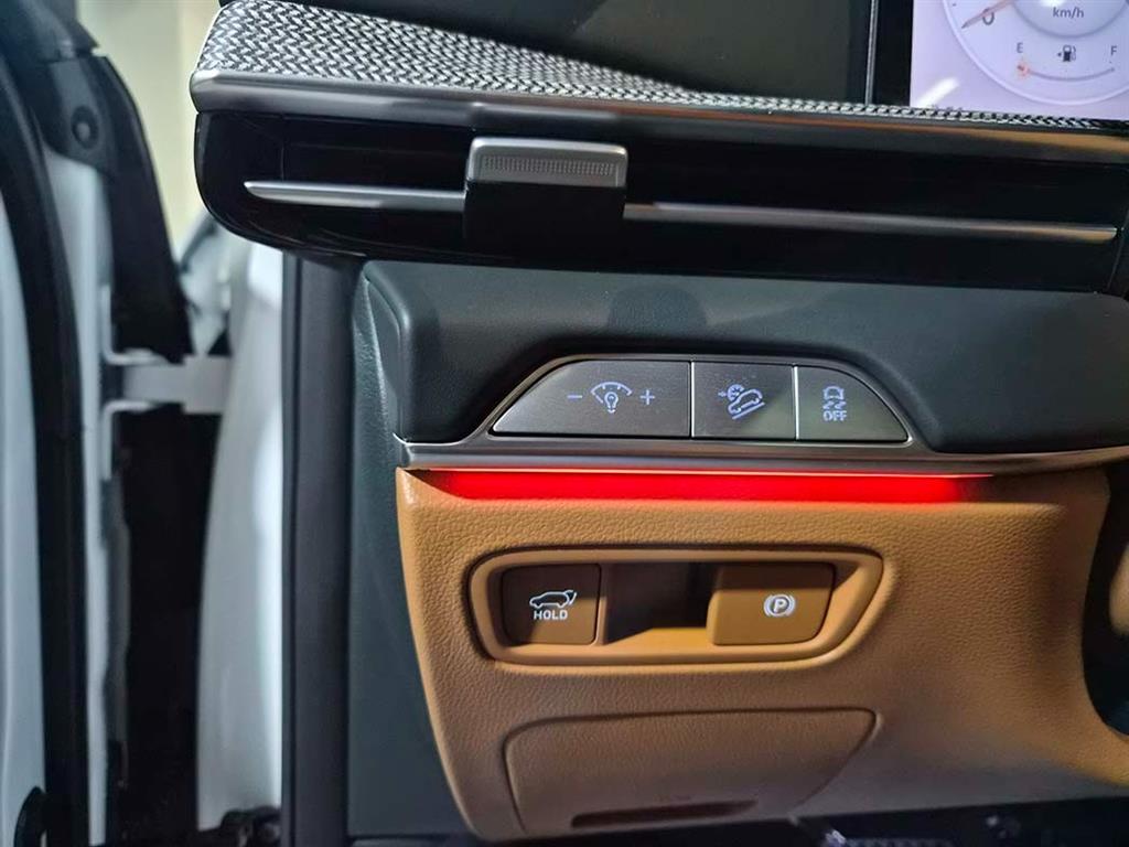 Genesis GV80 - Vista 12