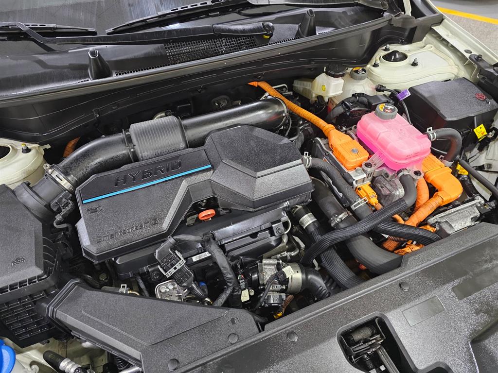 KIA Sportage - Vista 5