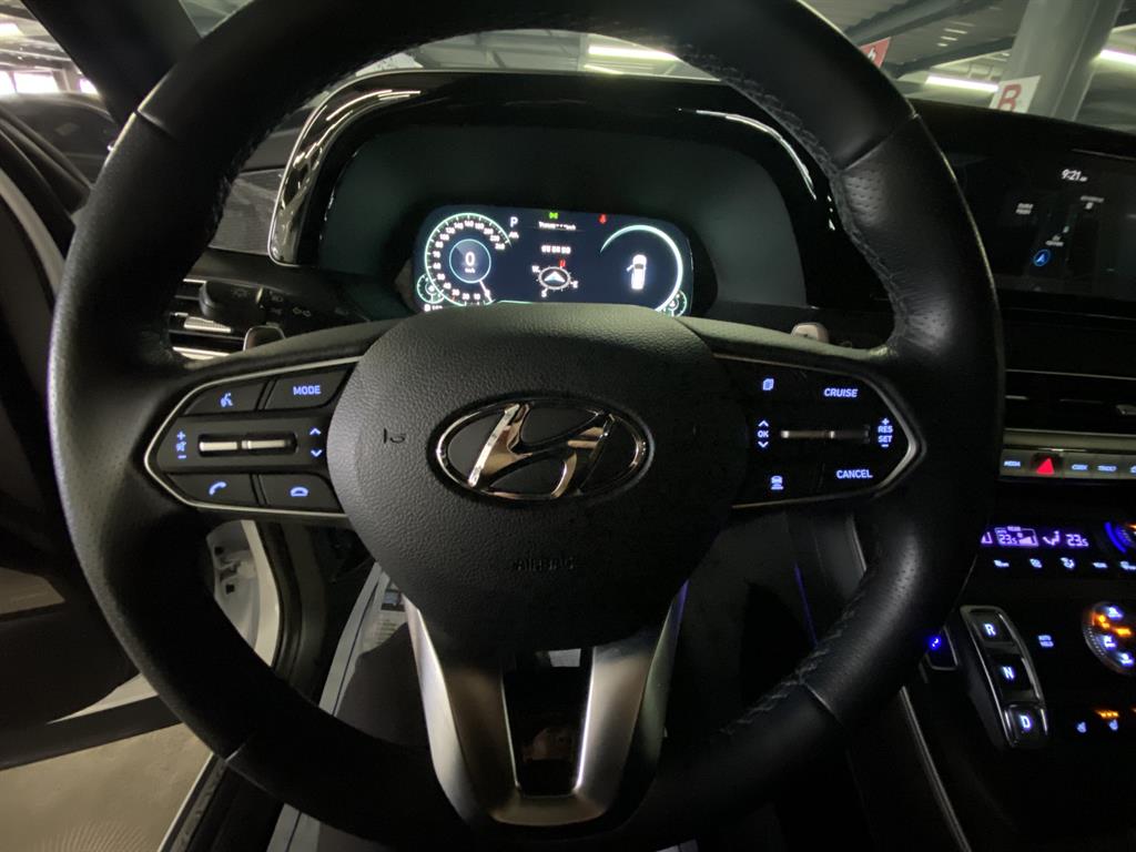HYUNDAI Palisade - Vista 9