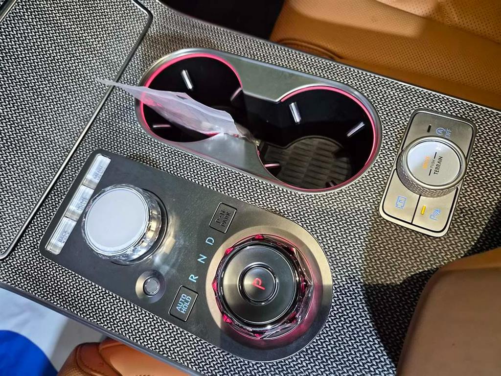 Genesis GV80 - Vista 10