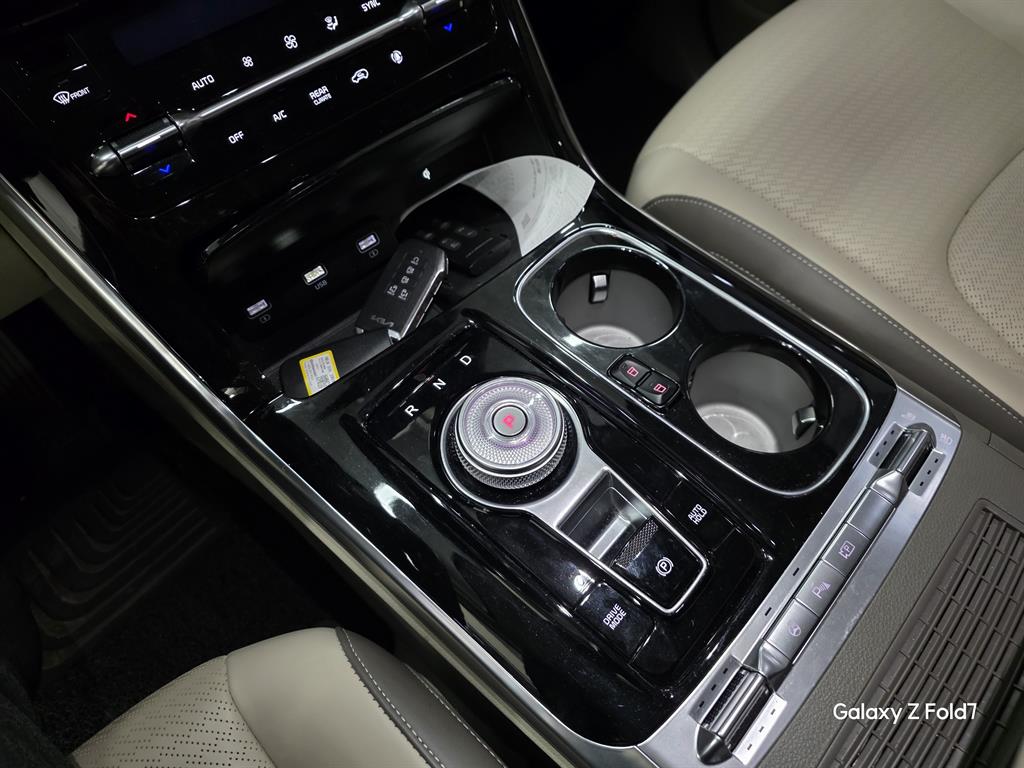 KIA Carnival - Vista 12