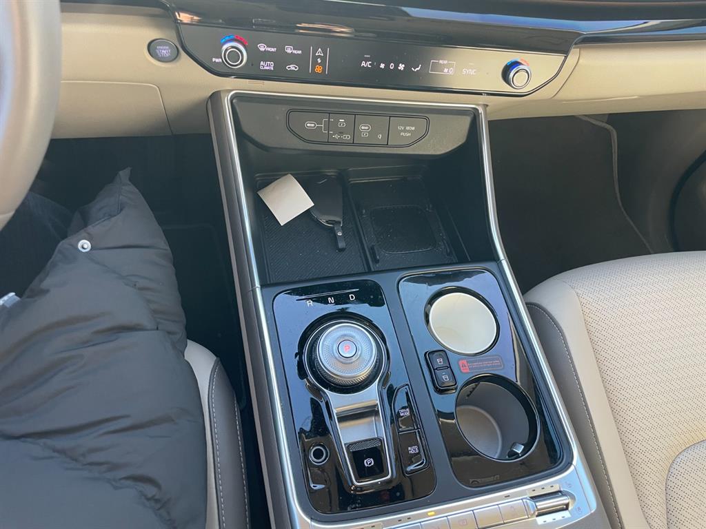 KIA Carnival - Vista 12