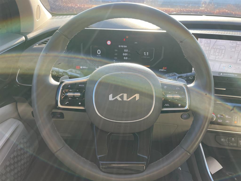 KIA Carnival - Vista 8