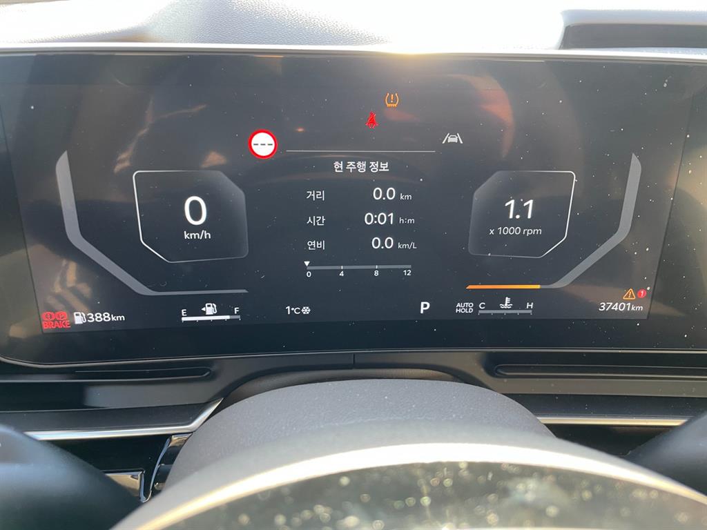 KIA Carnival - Vista 7