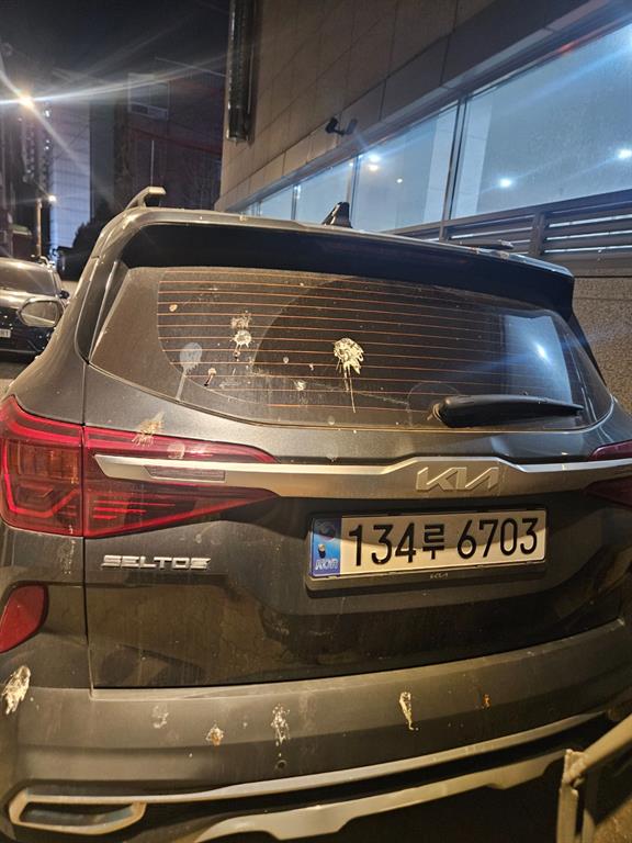 KIA Seltos - Vista 2