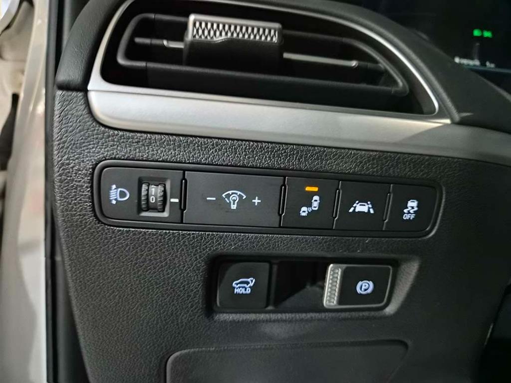 HYUNDAI Palisade - Vista 12