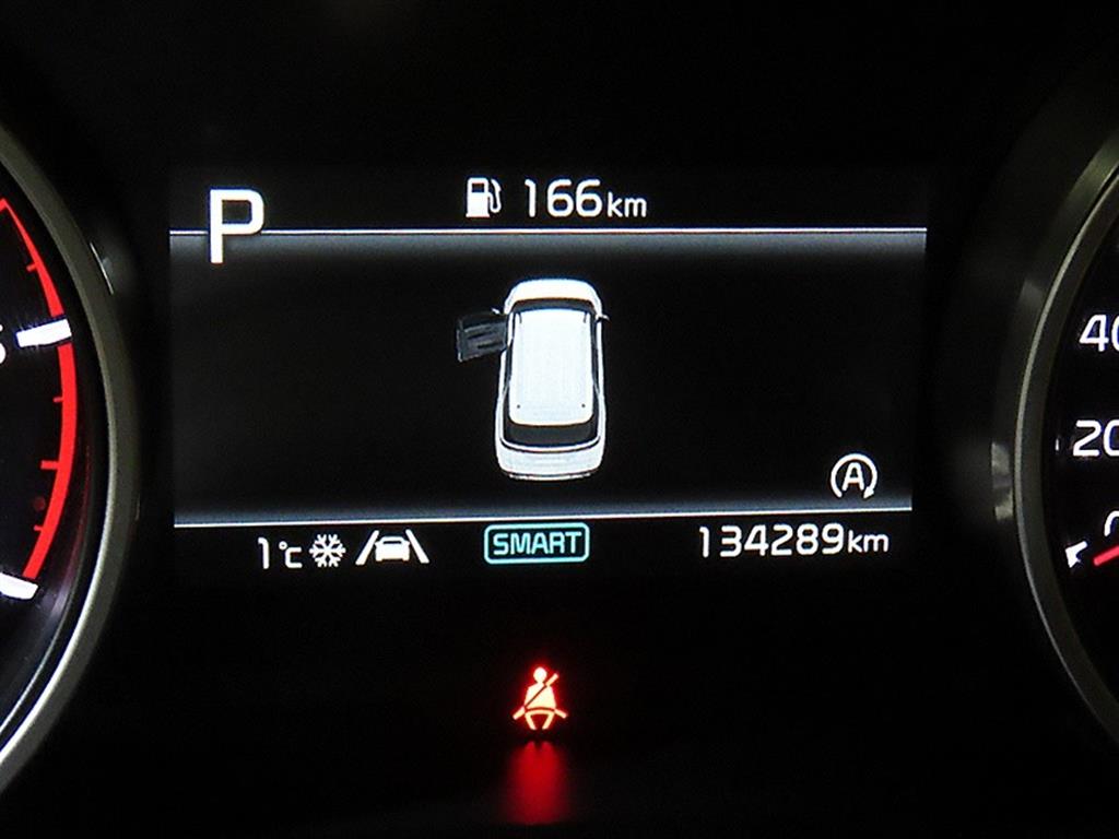 KIA Carnival - Vista 9