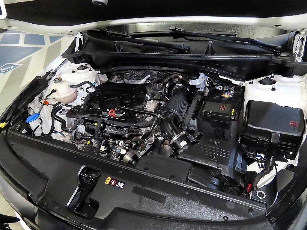 KIA Sportage 2024 Blanco - Importación desde Corea - HF Imports Iquique - Foto 19