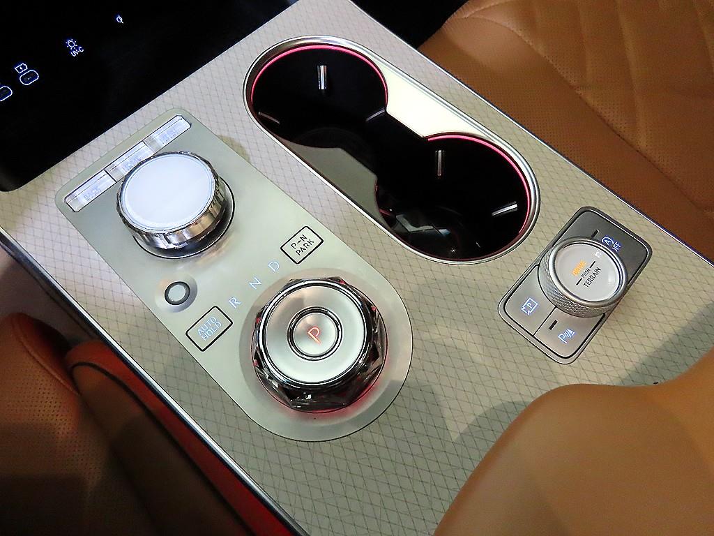 Genesis GV80 - Vista 12