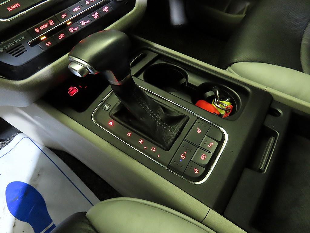 KIA Carnival - Vista 12