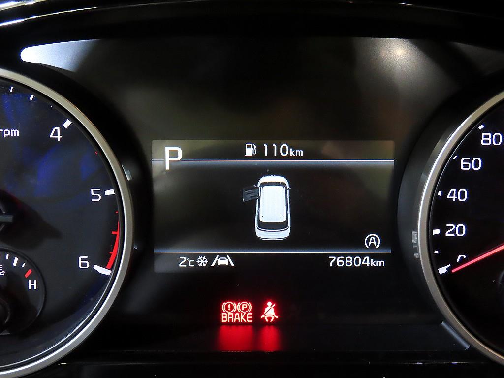 KIA Carnival - Vista 9