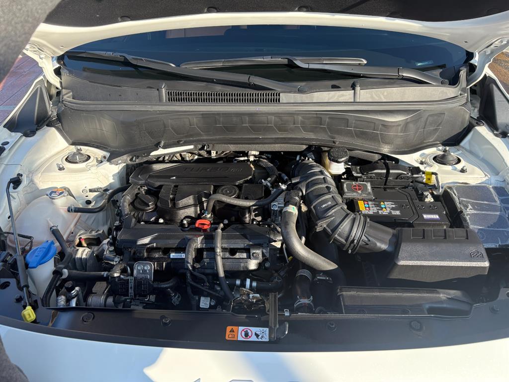 KIA Seltos - Vista 7