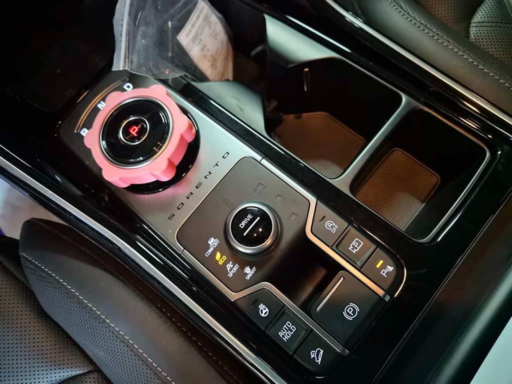 KIA Sorento - Vista 10