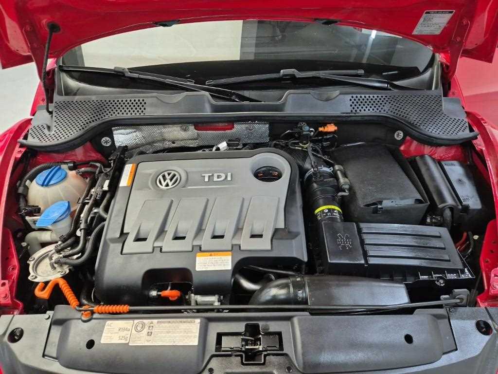 Volkswagen Beetle - Vista 5