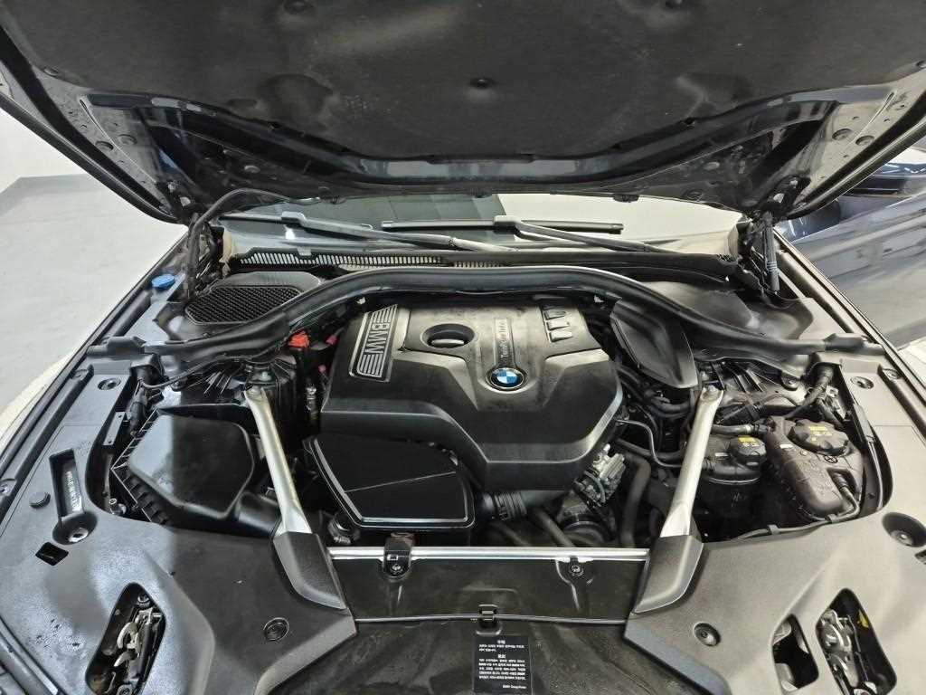 BMW 5 Series - Vista 5