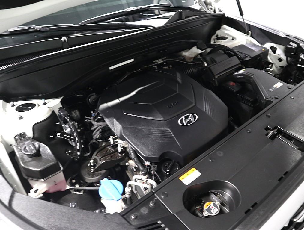 HYUNDAI Palisade - Vista 6