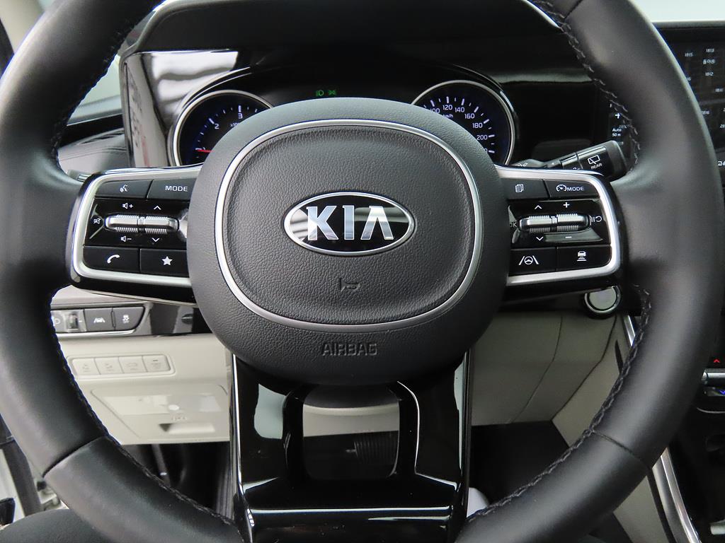 KIA Carnival - Vista 12