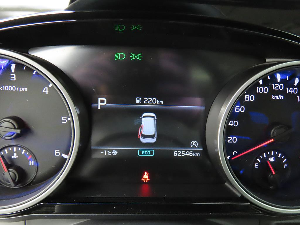 KIA Carnival - Vista 9