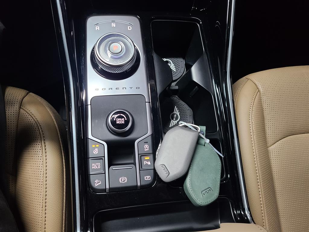 KIA Sorento - Vista 11