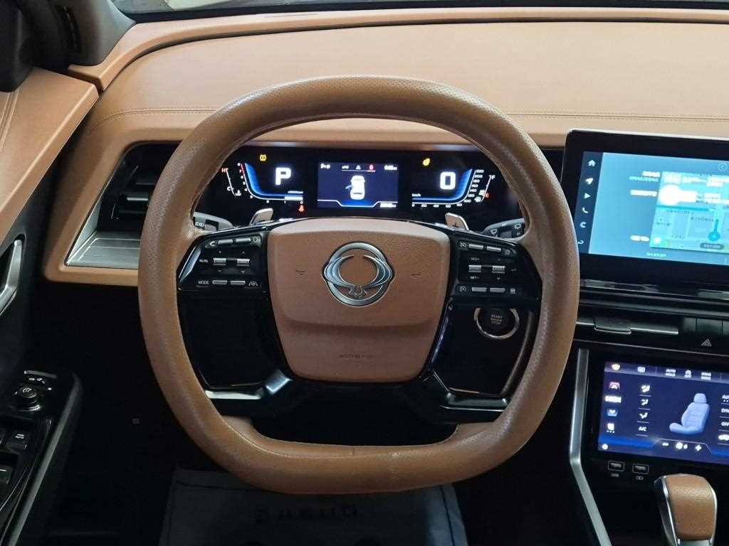 Ssangyong Torres - Vista 9