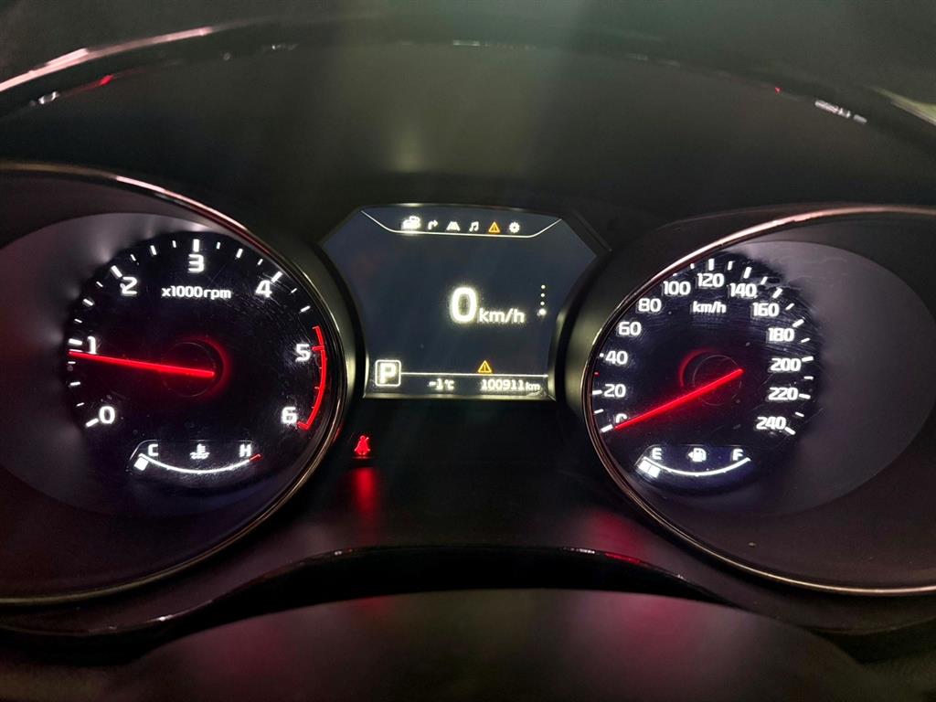 KIA Carnival - Vista 10