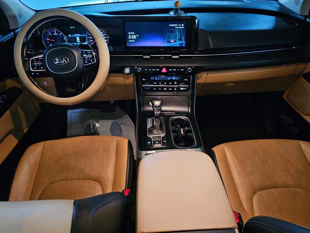 KIA Carnival - Vista 7