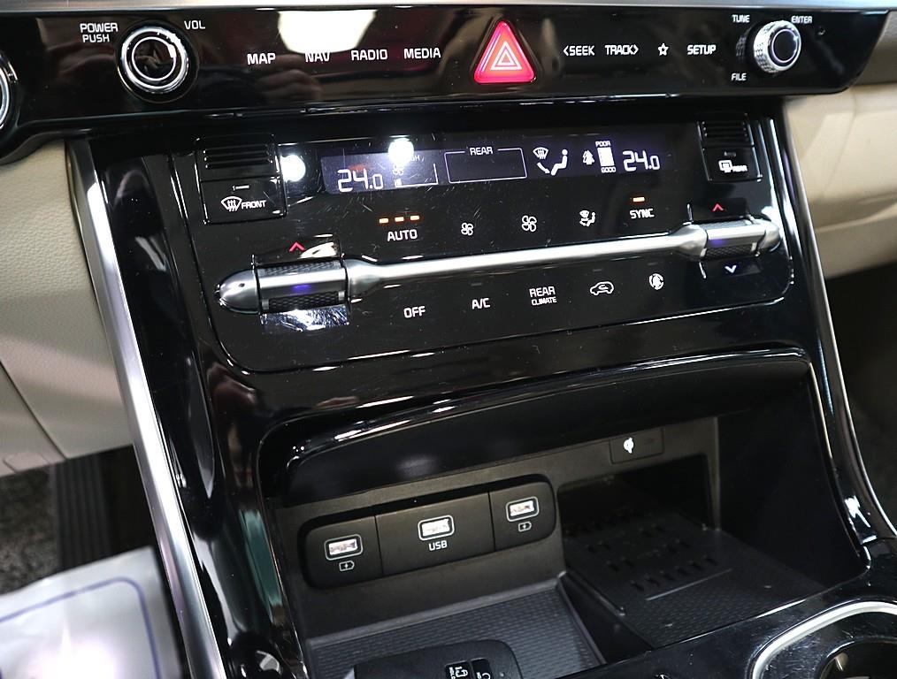 KIA Carnival - Vista 12