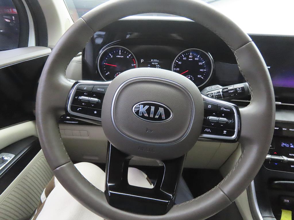 KIA Carnival - Vista 8
