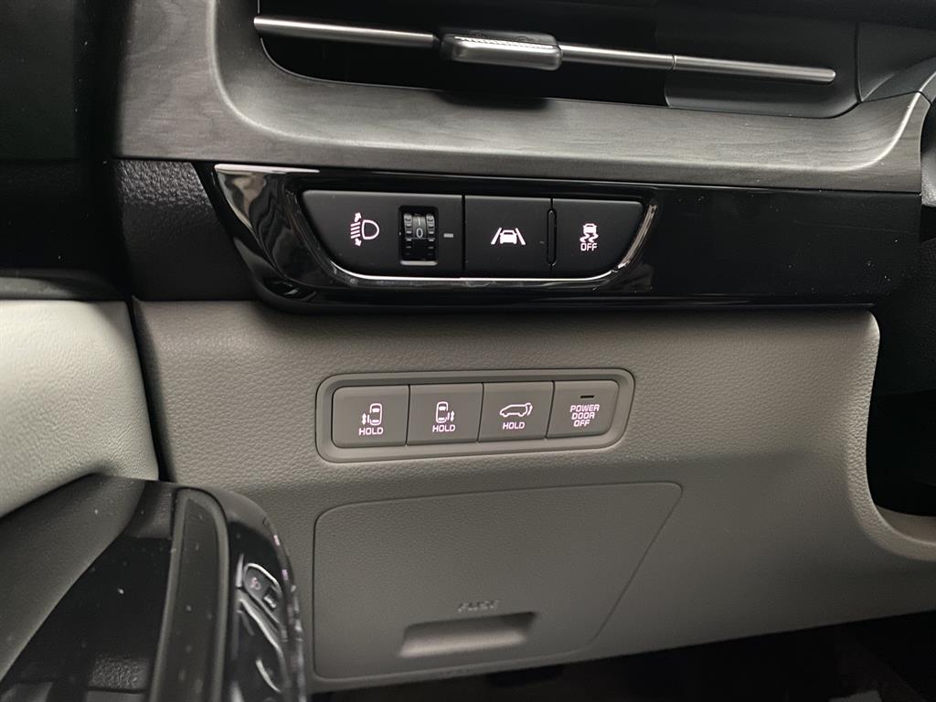 KIA Carnival - Vista 11