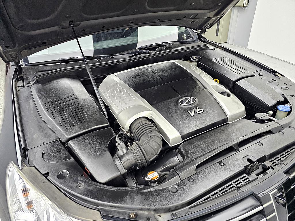 HYUNDAI Genesis - Vista 6