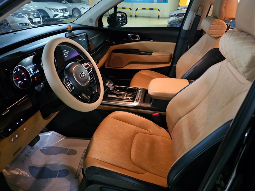 KIA Carnival - Vista 8