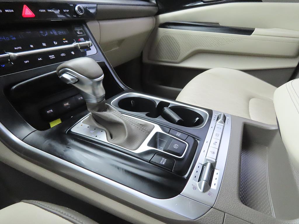 KIA Carnival - Vista 11