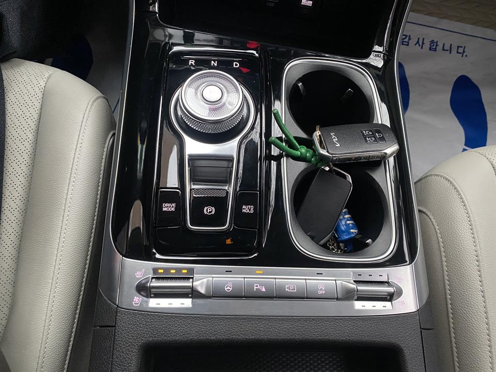 KIA Carnival - Vista 8