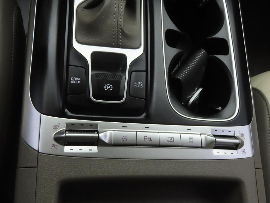 KIA Carnival - Vista 12