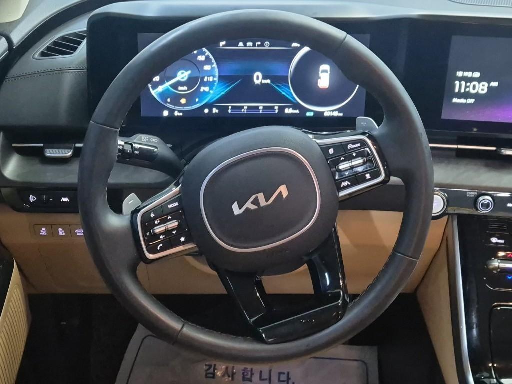 KIA Carnival - Vista 12