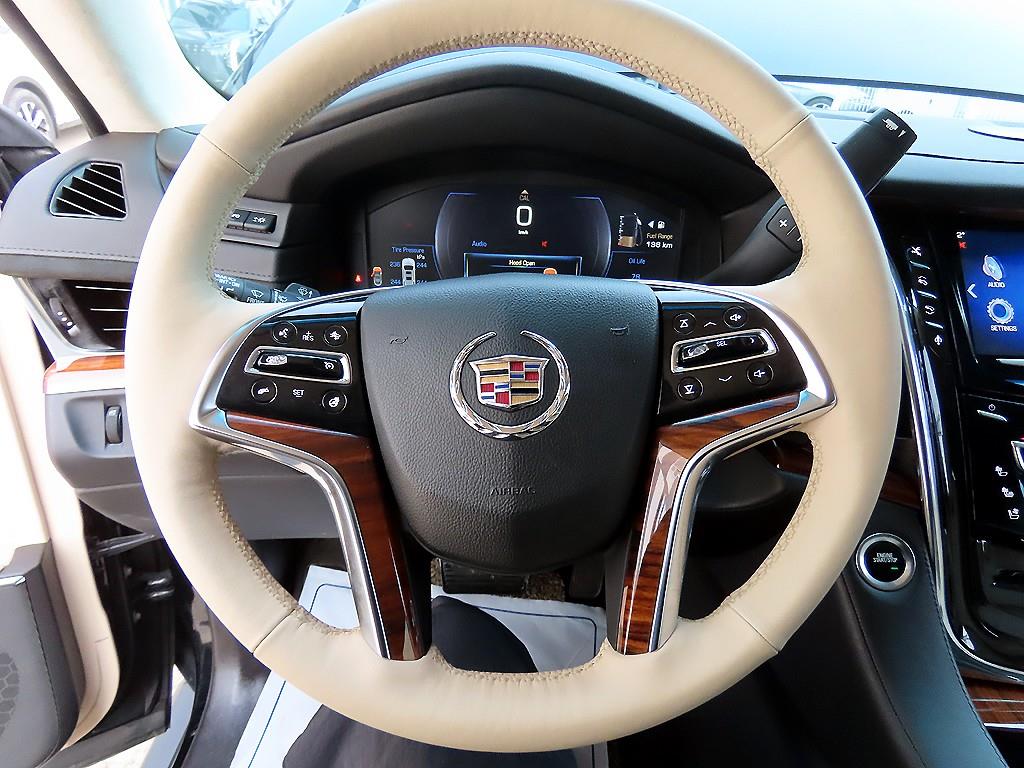 Cadillac Escalade - Vista 9