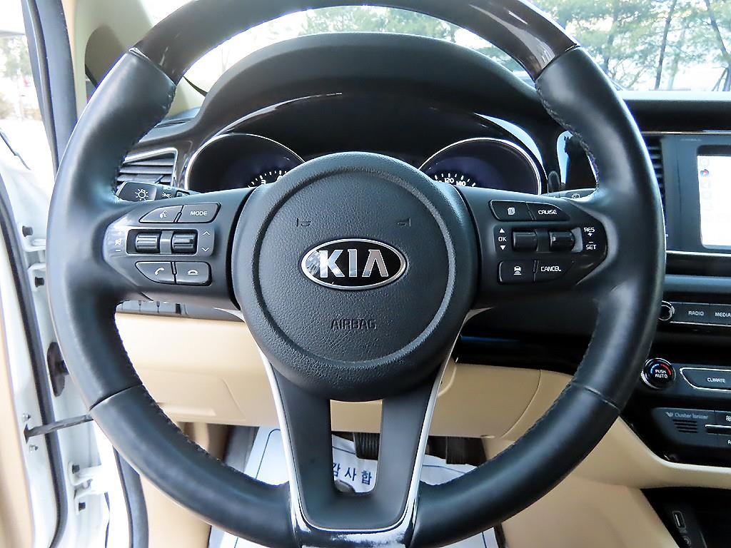 KIA Carnival - Vista 8