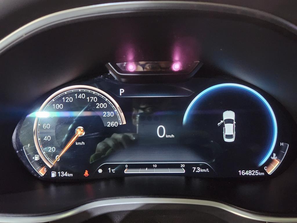 Genesis G80 - Vista 8