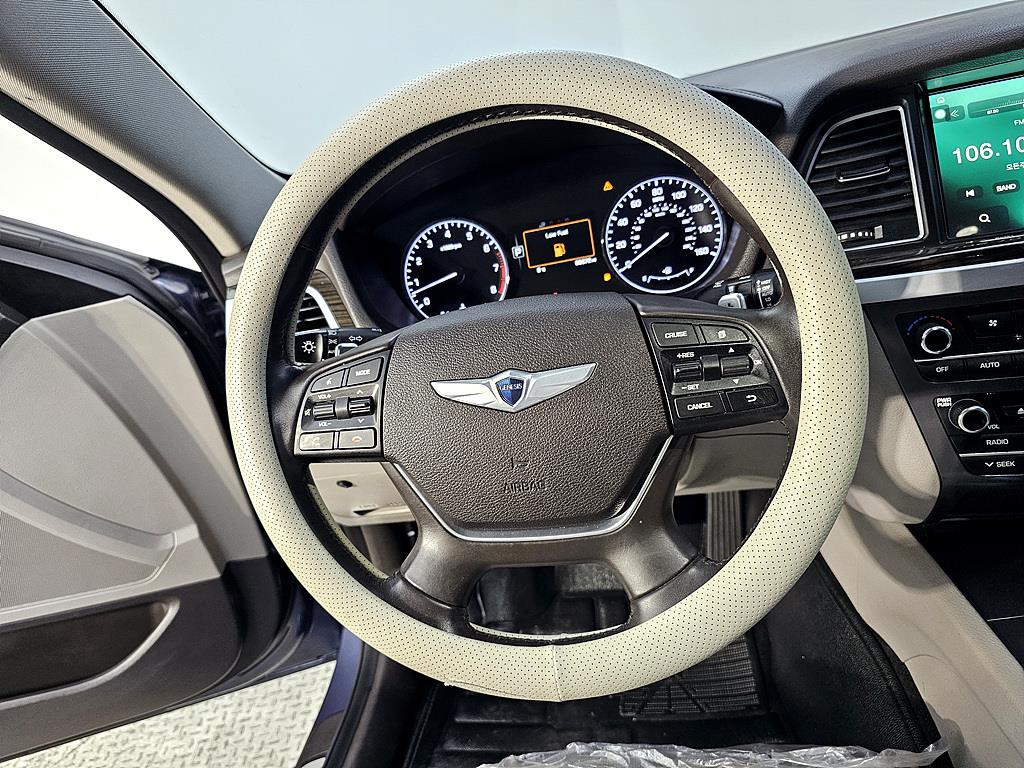 HYUNDAI Genesis - Vista 12