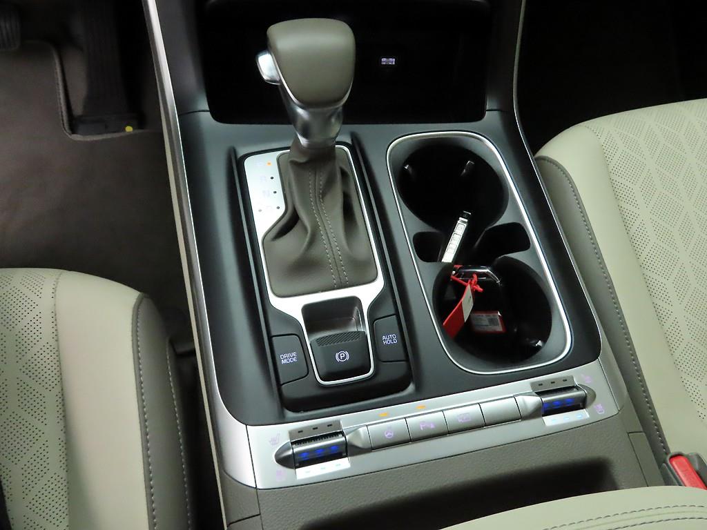 KIA Carnival - Vista 10