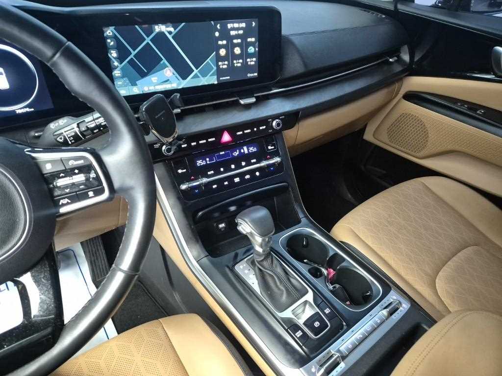 KIA Carnival - Vista 10