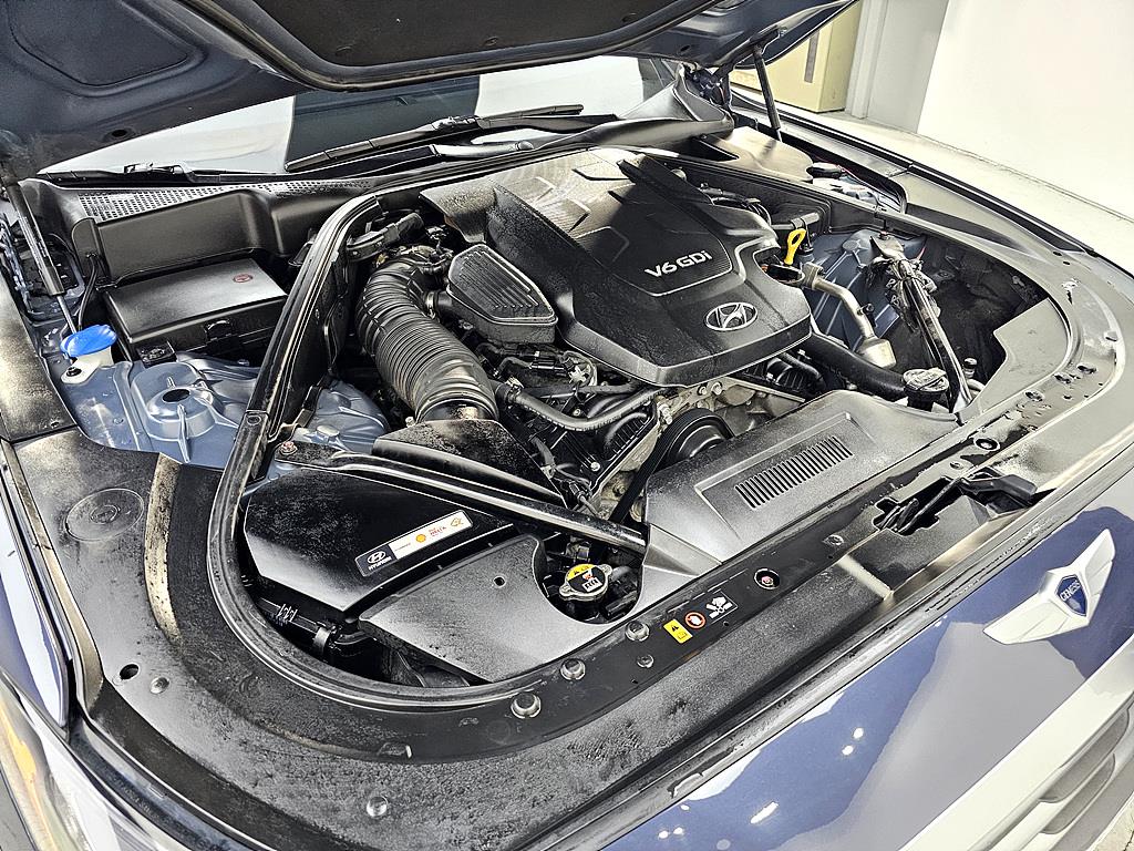 HYUNDAI Genesis - Vista 6