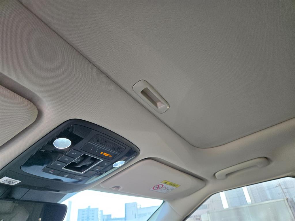 KIA Carnival - Vista 9