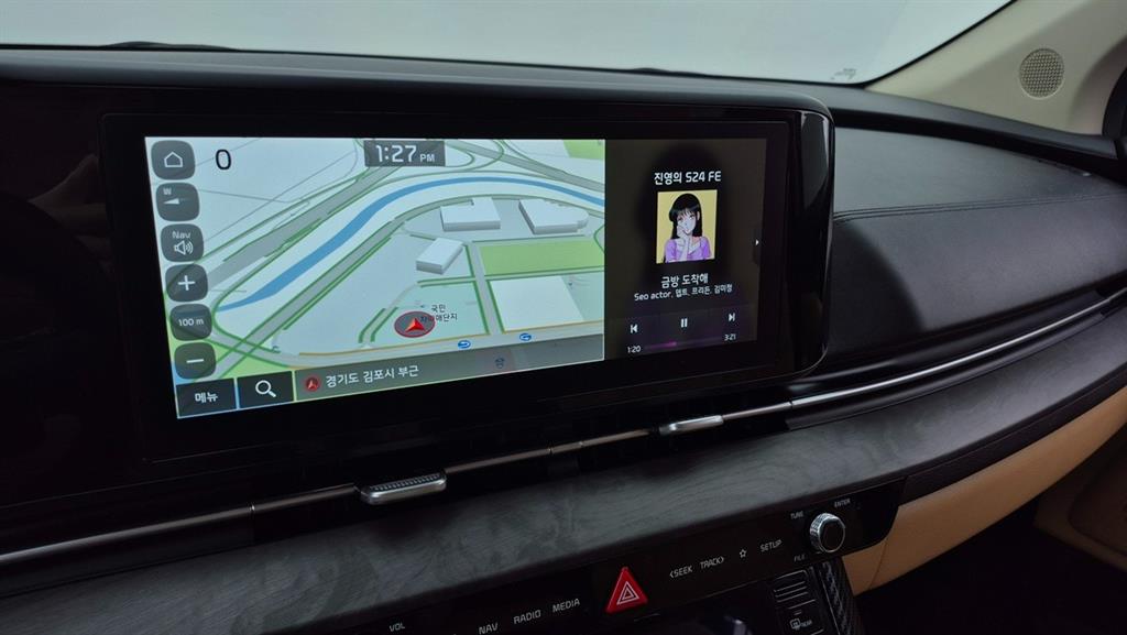 KIA Carnival - Vista 12