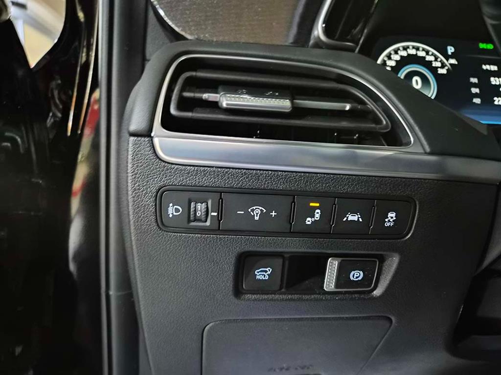 HYUNDAI Palisade - Vista 12