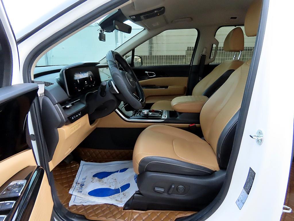 KIA Carnival - Vista 12